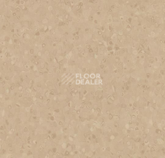 Линолеум Forbo Sphera Element 50024 stone фото 1 | FLOORDEALER